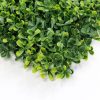 Boxwood Lite Square