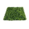 Boxwood Lite Square