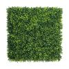 Boxwood Lite Square