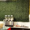 Boxwood Lite Wall