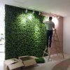 Benjamina Boxwood installation