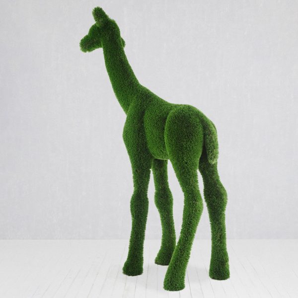 baby giraffe topiary