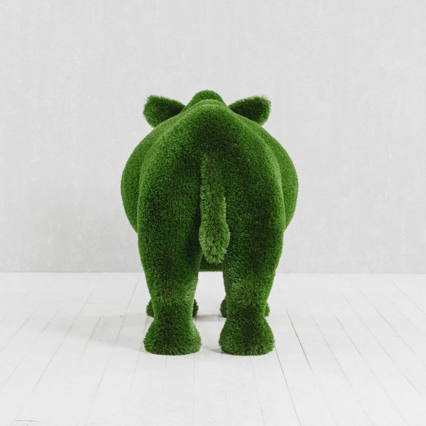 rhino topiary rear