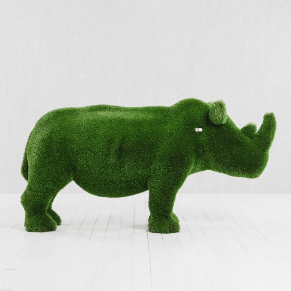 rhino topiaryrhino topiary